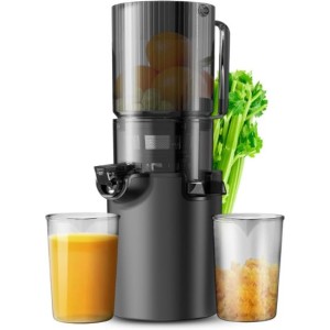 Masticating Juicer